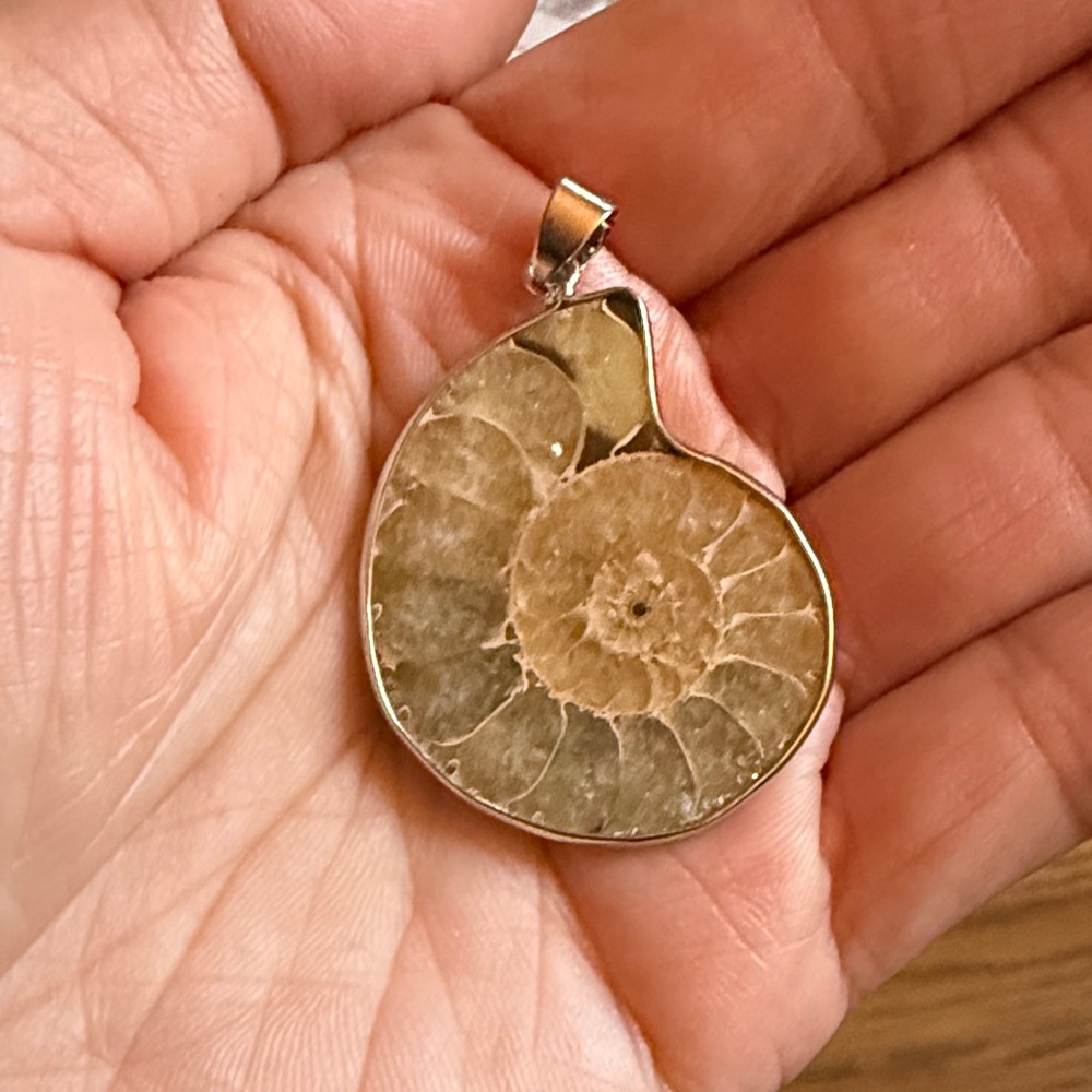 Artisan Ammonite Necklace with Silver Accent